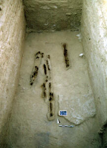 Wood from the collapsed roof of room 11